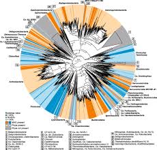 Pentru acest tip de credit bcr nu solicita aport propriu, garanti sau ipotecarea unui imobil. A Metagenomics Roadmap To The Uncultured Genome Diversity In Hypersaline Soda Lake Sediments Microbiome Full Text