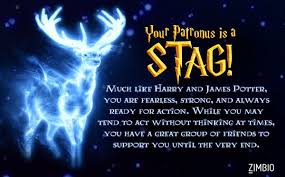 Do you know the characters patronuses from harry potter? What S Your Patronus Harry Potter Patronus Harry Potter Quizzes Harry Potter Quiz
