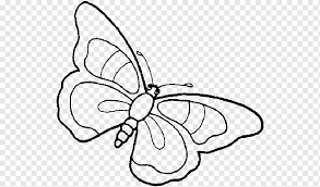 Please click on the name of a group to browse its kupu. Butterfly Coloring Book Child Drawing Kleurplaat Charlize Theron Celebrities Angle White Png Pngwing