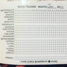 Bullet Journal Mood Tracker Inspiration Gallery Bullet Journal Mood Bullet Journal Journal