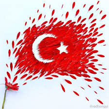 Yapraktan Bayrak Bayrak Resim Egitimsel Elisleri