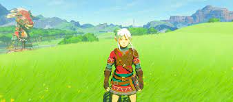 Link Of Rivia Breath Of The Wild Mods Breath Of The Wild Legend Of Zelda Best Games