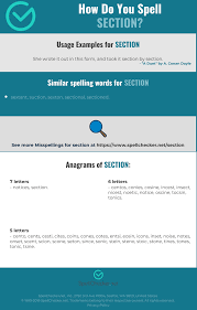 Correct Spelling For Section Infographic Spellchecker Net