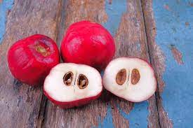 Produk mahkota dewa, sumber toko herbal online mahkota dewa atau buah simalakama memiliki kandungan senyawa tanin, alkanoid, fenol, lignan, sterol, saponin, juga minyak atsiri di dalamnya. Manfaat Buah Mahkota Dewa Obat Simalakama Beracun Jovee Id