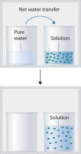 A Solution Of Glycerol (C3H8O3) In Waterwas Prepared By Dissolving Some  Glycerol In500 G Of Water--. - Youtube