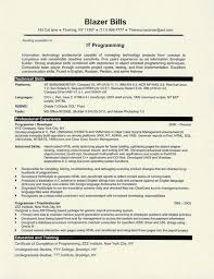 computer programmer resume example