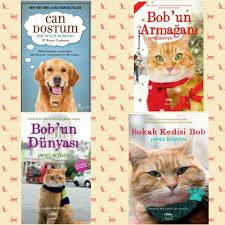 Zeynep Adli Kullanicinin Kitap Book Reading Panosundaki Pin