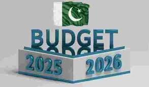 Pakistan increases defence budget to Rs2.56 trillion for FY2025-26