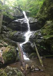The Best Camping In Virginia 100 Va Campgrounds The Dyrt Virginia Camping Rv Parks Near Me Camping