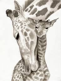 The book has pages on the lion, zebra, ostrich, rhino, elephant. 89 African Animal Drawings Ideas Animal Drawings African Animals Animals Wild