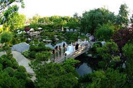 Earl Burns Miller Japanese Garden Photos Ceremony Reception Venue Pictures Rehearsal Dinne Wedding Venue Los Angeles Los Angeles Parks Garden Wedding Venue