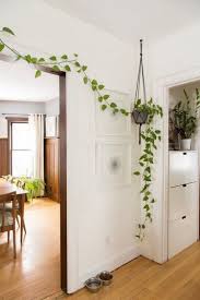 Decoración y manualidades con cristina sanjosé. Plantas Colgantes Para Decorar El Hogar Maceteros Colgantes Plantas Colgantes De Interior Plantas Colgantes Plantas De Interior