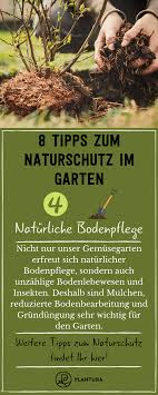 Naturschutz Im Garten 8 Tipps Fur Das Ganze Jahr Garten Naturgarten Tipps