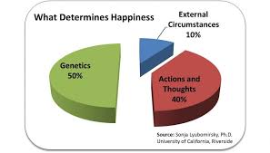 determines happiness pie chart science of happiness happy