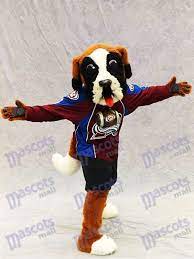 Bernie the mascot of the colorado avalanche skates prior to the game against the buffalo sabres at the pepsi center on february 25. Bernie The Dog St Bernard Colorado Avalanche Mascot Costume Animal