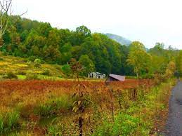 9.9 miles to virginia creeper trail abingdon. Abingdon Virginia An Insider S Guide To The Virginia Creeper Trail