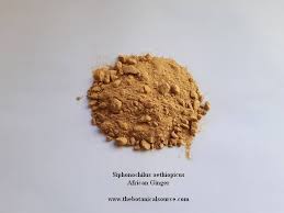 Image result for Siphonochilus aethiopicus