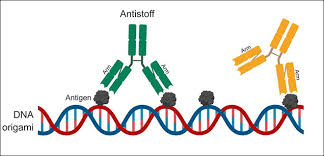 Forstår du ikke hva derivasjon er, så gjør du det etter å ha sett denne videoen. Dna Origami Et Unikt Verktoy For A Forsta Biologi Det Medisinske Fakultet