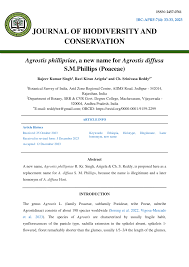 Image result for Agrostis kilimandscharica