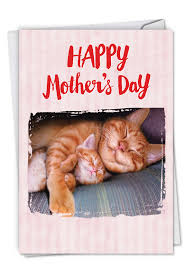 Maybe you would like to learn more about one of these? Cat Naps Petigreet Mother S Day Card By