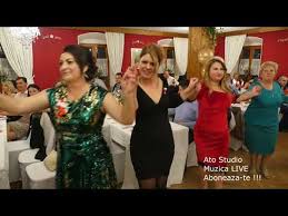 Muzica populara moldoveneasca de petrecere dj ivan noiembrie 2020 dj ivan. Colaj Muzica Populara Banat Ghita Brancu Youtube