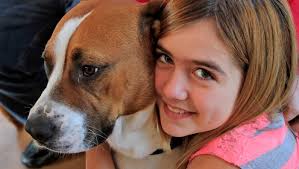 Star photos of the year by Kelly Wilkinson