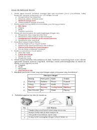 Seleksi tingkat kecamatan dilaksanakan oleh koordinator wilayah kecamatan /uptd/satuan pelayanan yang menangani bidang pendidikan pada tingkat kecamatan. Contoh Soal Osn Ipa Sd Tingkat Kecamatan 2018 Contoh Soal Terbaru
