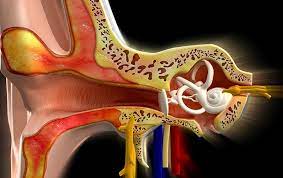 Tinnitus Therapie Horstudio Becker