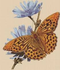 Details About Butterfly With Blue Flowers Counted Cross Stitch Chart No 2 6