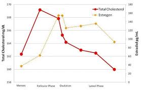 womens cholesterol levels vary with phase of menstrual