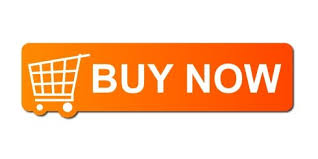 Fact finder, follow thru, quick start and implementor. Kolbe Assessments Instincts Business Assessment