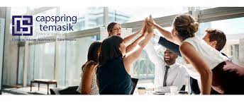 Op financial group's interim reports and financial statements, including background materials and board reports. Capspring Termasik