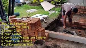 Sebelum membuat kolam ikan minimalis, tentu saja harus memerhatikan ukuran yang tepat. Proses Pembuatan Kolam Ikan Koi Minimalis Youtube