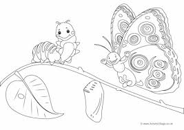 Read full profile sometimes the past can feel incredibly distant, like stories that people tell rather than lives that were actually lived. Butterfly Life Cycle Colouring Page Coloring Pages