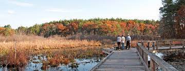 Maybe you would like to learn more about one of these? Support Broadmoor Wildlife Sanctuary