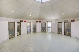 A more safe and loving alternative to a commercial dog kennel or dog hotel. Dog Boarding Kennels Dog Boarding Dog Boarding Kennels Buildings