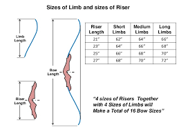 Design Of Limb Of A Takedown Recurve Bow