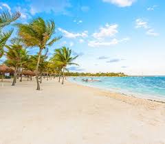 Cancun To Akumal: How To Get To Akumal Mexico In 2024