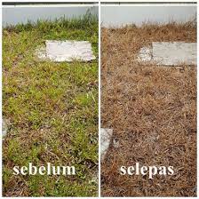 Harbisida buatan pabrik 2 liter (1… Buat Sendiri Racun Rumpai Dengan Cara Yang Amat Mudah Dan Berkesan Blog Santai Santai Jerr