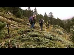 Cueillettes et cuisine sauvage book. Cuisine Sauvage Youtube