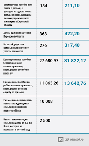 Kakie Vyplaty Polozheny Na Pervogo Rebyonka V 2019 Godu