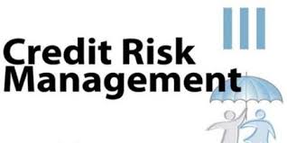 The credit risk management definition has widened given the growing number of risks that banks must manage and the importance of risk management policy has increased. Credit Risk Management Of United Commercial Bank Assignment Point