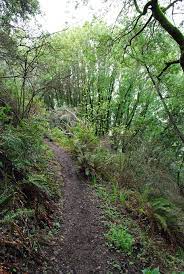 Sf Date Ideas You Ll Both Actually Enjoy Right Now Bay Area Hikes Hiking Areas Near Me Hiking Spots