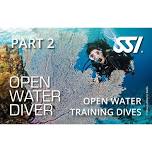 Open Water Training Dives – Class