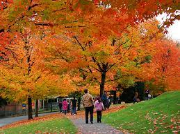 Born and raised in the area, deer lake is by far the best day out or weekend out. Under The Boardwalk Deer Lake Park Inside Vancouver Bloginside Vancouver Blog