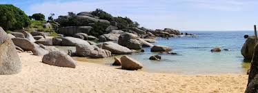 5 best cape town beaches. Cape Town S Best Secluded Beaches Cape Town Tourism Guide