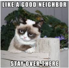 We created a parent category called cat memes we will post more clean cat memes. 25 Funny Cat Memes Live One Good Life