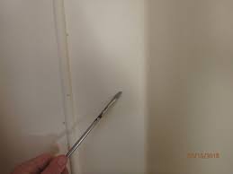 They liaised with the real estate agent even though dates were changed etc. Building Pest Inspection Experts Newcastle Central Coast