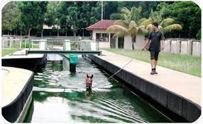 This website is estimated worth of $ 8.95 and have a daily income of around $ 0.15. Kinta Rubber Works Sdn Bhd Was Established In May 1940 Malaysia Leading Rubber Manufacturer And Exporter Of High Quality Industrial Rubber Products Especially Customised Rubber Products According To Customer Requirements