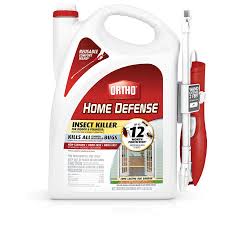 Wasps Insect Pest Control At Lowes Com